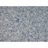 DRS - 1 No: 22