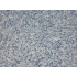 DRS - 1 No: 19