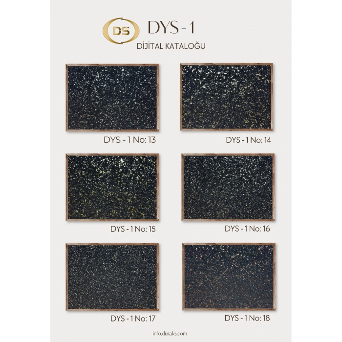 DYS - 1 No: 24