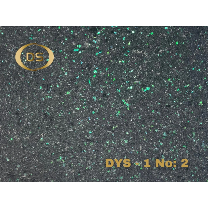 DYS - 1 No: 2