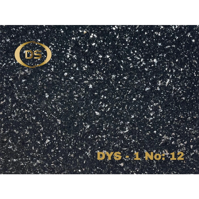 DYS - 1 No: 12