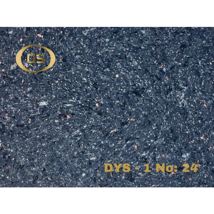 DYS - 1 No: 24