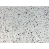 DKS - 1 No: 17