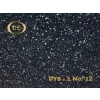 DYS - 1 No: 12
