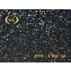 DYS - 1 No: 14