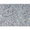 DRS - 1 No: 24