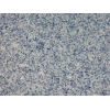 DRS - 1 No: 22
