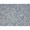 DRS - 1 No: 19