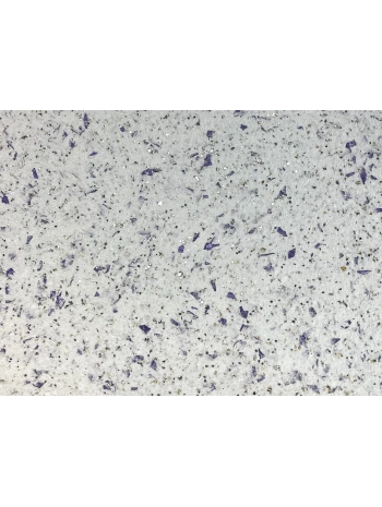 DKS - 1 No: 17