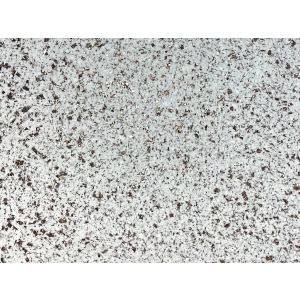 DKS - 1 No: 10