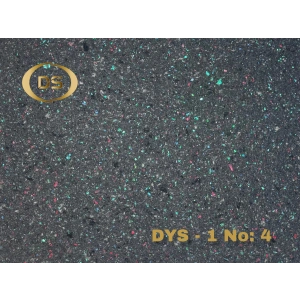 DYS - 1 No: 4