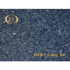 DYS - 1 No: 24