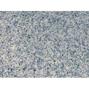 DRS - 1 No: 23