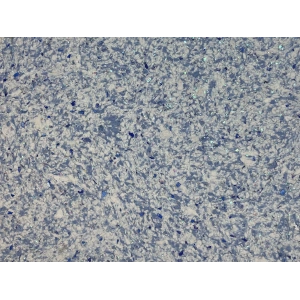 DRS - 1 No: 22