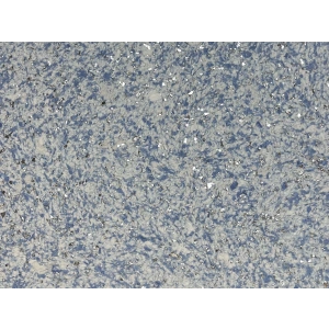 DRS - 1 No: 20
