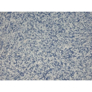 DRS - 1 No: 19