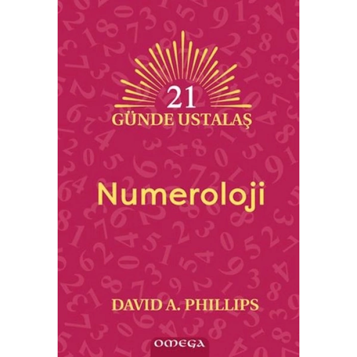 21 Günde Ustalaş Numeroloji