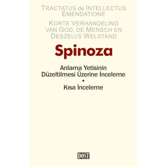 Anlama Yetisinin Düzeltilmesi Üzerine İnceleme