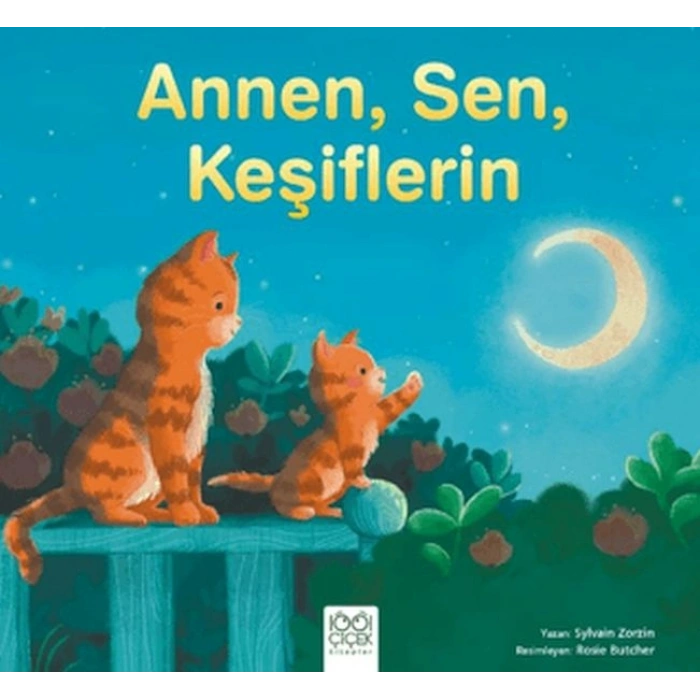 Annen, Sen, Keşiflerin