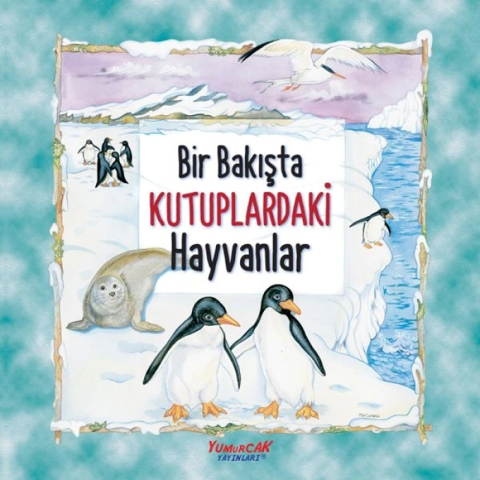 Bir Bakışta Kutuplardaki Hayvanlar