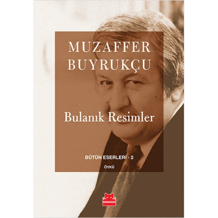 Bulanık Resimler / Bütün Eserleri 2