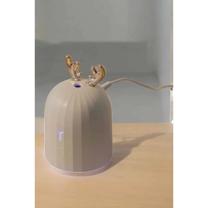 CEYLAN ADAM Aromaterapi Hava Temizleyici Buhar Makinesi Taşınabilir Şarjlı