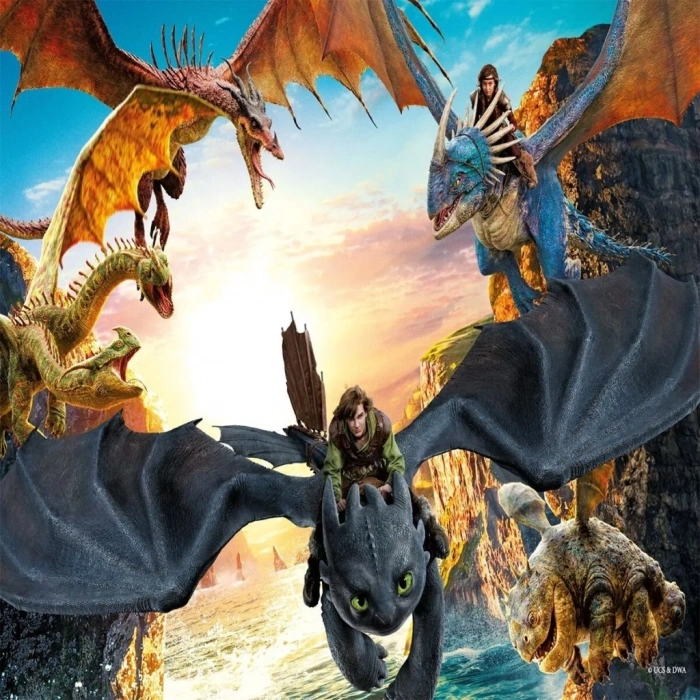 CEYLAN ADAM HD 714 HOW TO TRAIN YOUR DRAGON PUZZLE 100 PRÇ