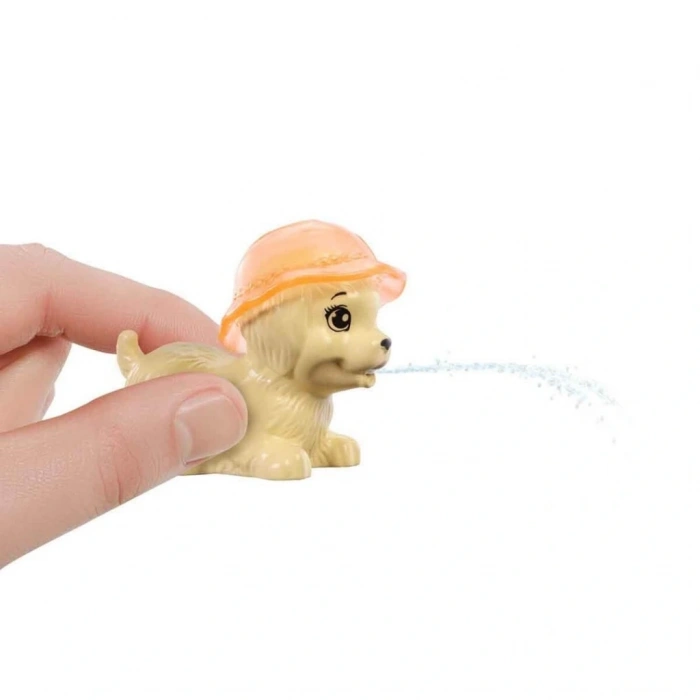 CEYLAN ADAM Köpekçikle Havuz Partisi Oyun Seti