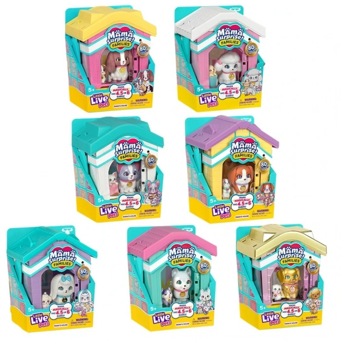 CEYLAN ADAM MSF Pati Ailesi