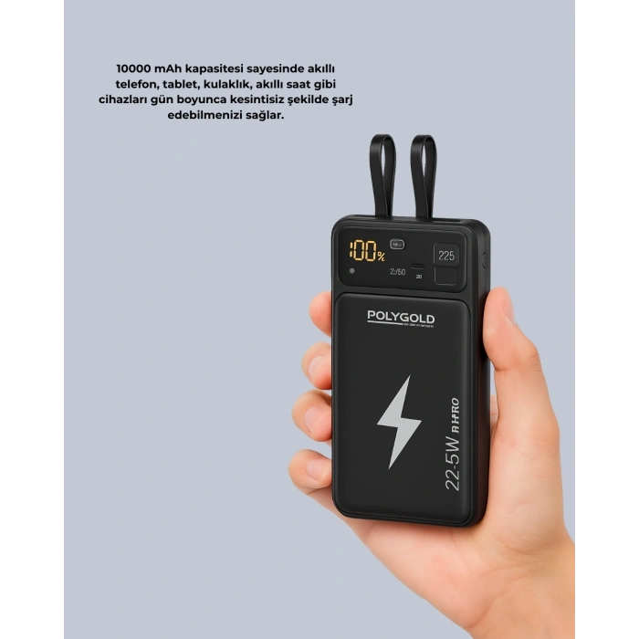 CEYLAN ADAM Powerbank Dahili Ekranlı 10000 mAh Çift Kablolu