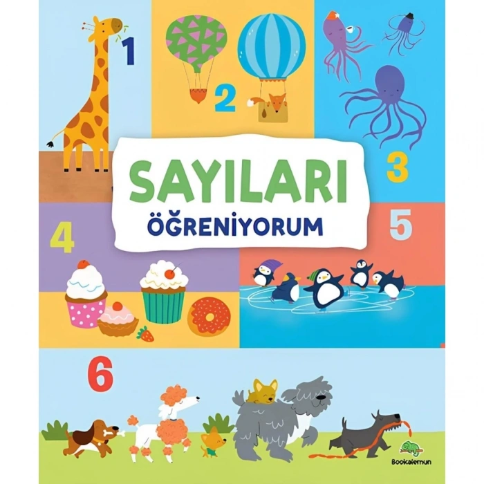 CEYLAN ADAM Sayıları Öğreniyorum