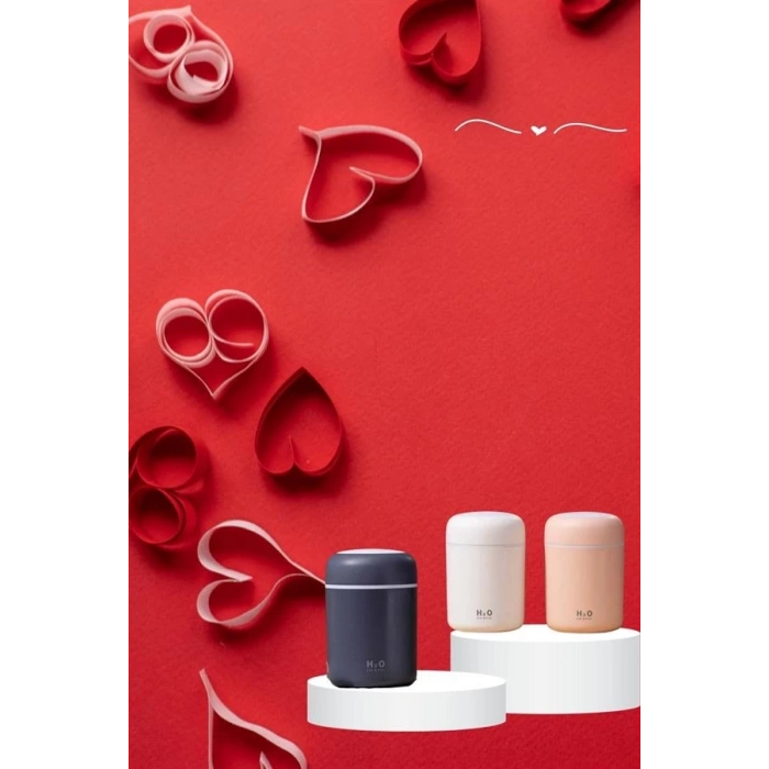 CEYLAN ADAM Sevgiliye Hediye Led Işıklı Hava Nemlendirici USB Şarjlı Sevgiliye Özel