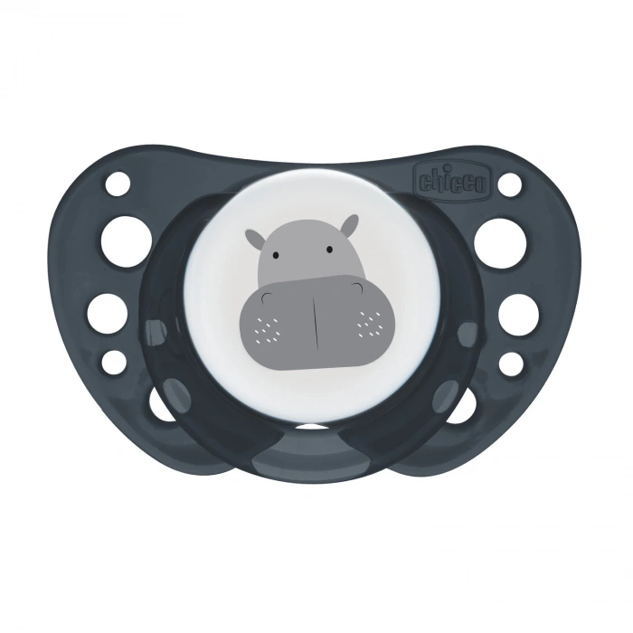 Chicco PhysioForma Air 2li Silikon Emzik 16-36 Ay