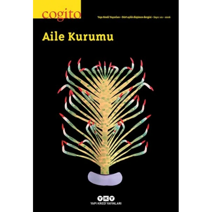 Cogito Aile Kurumu