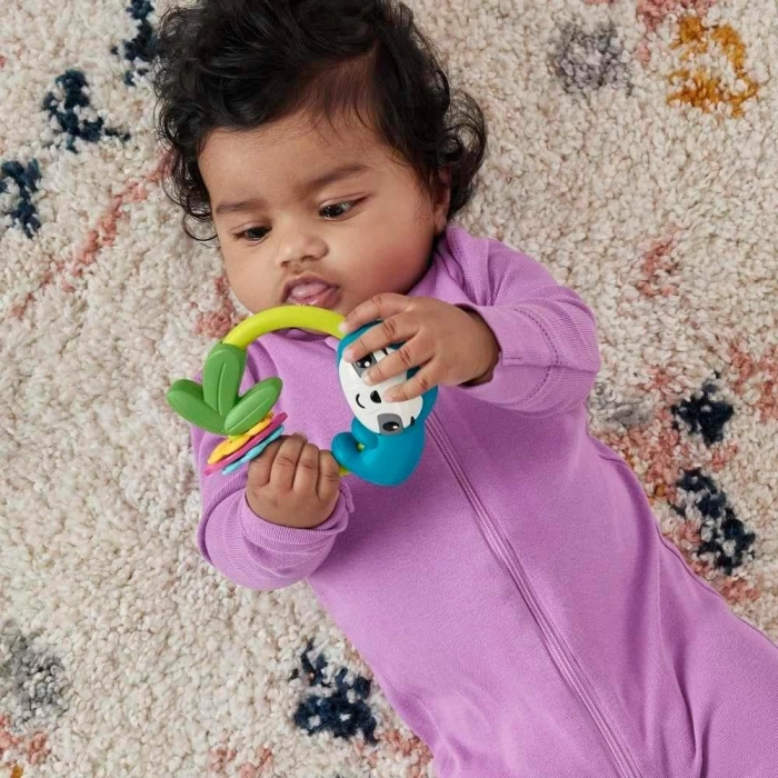 Fisher Price Eğlenceli Dostlar Çıngıraklı Dişlik - Makaralı Tembel Hayvan HJW11-HKD70