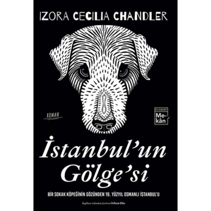 İstanbulun Gölgesi