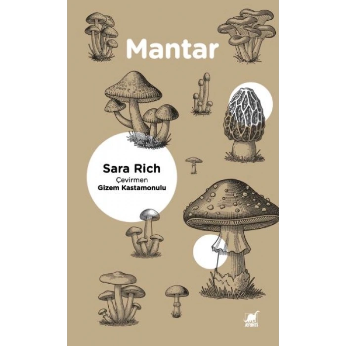 Mantar