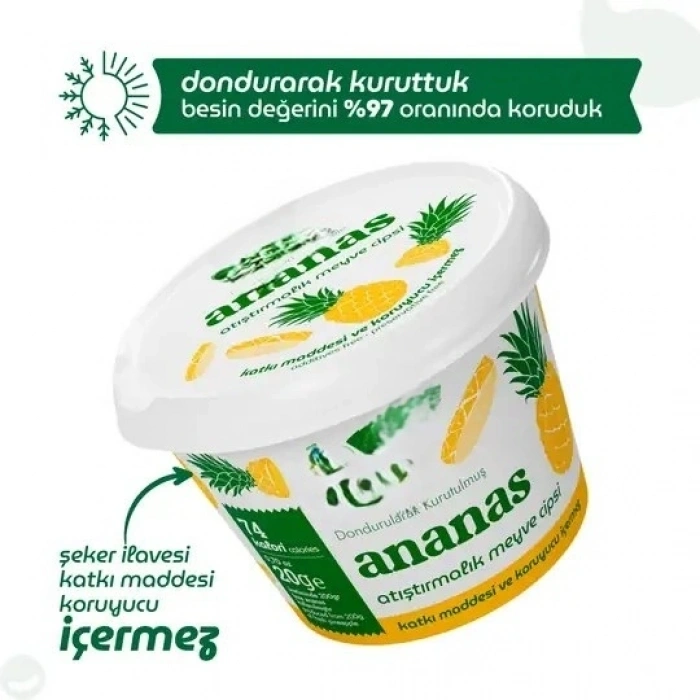 Mey İthalat® Ananas Atıştırmalık Meyve Cipsi 20gr