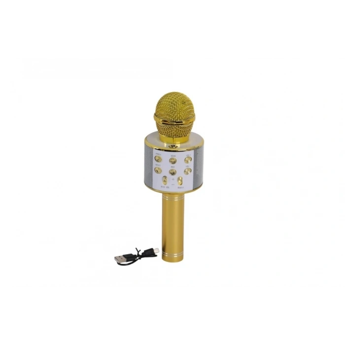 Mey İthalat® EMR-101 KUTULU KARAOKE MİKROFON