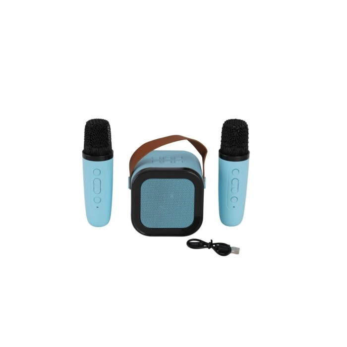 Mey İthalat® EMR-102 KUTULU 2Lİ KARAOKE MİKROFON