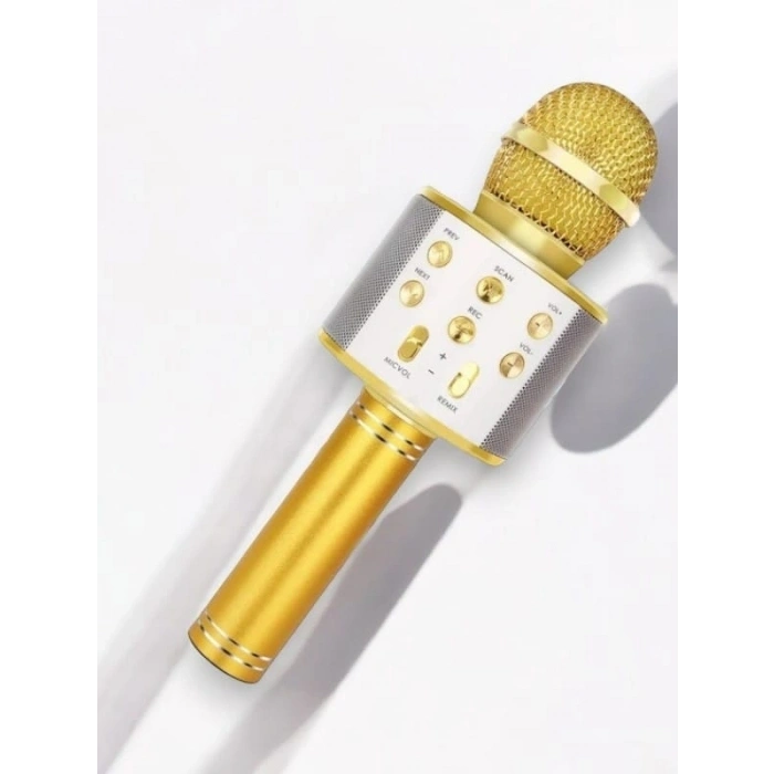 Mey İthalat® KAREOKE  MIKROFON