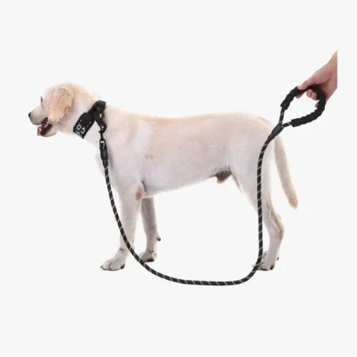 Mey İthalat® Köpekler İçin Reflektörlü Halat Gezdirme Tasması