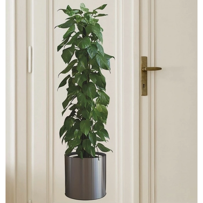 Mey İthalat® Saksılı Bitki Tasarımlı Yapışkanlı Sticker Resim 90*30 cm MC-665