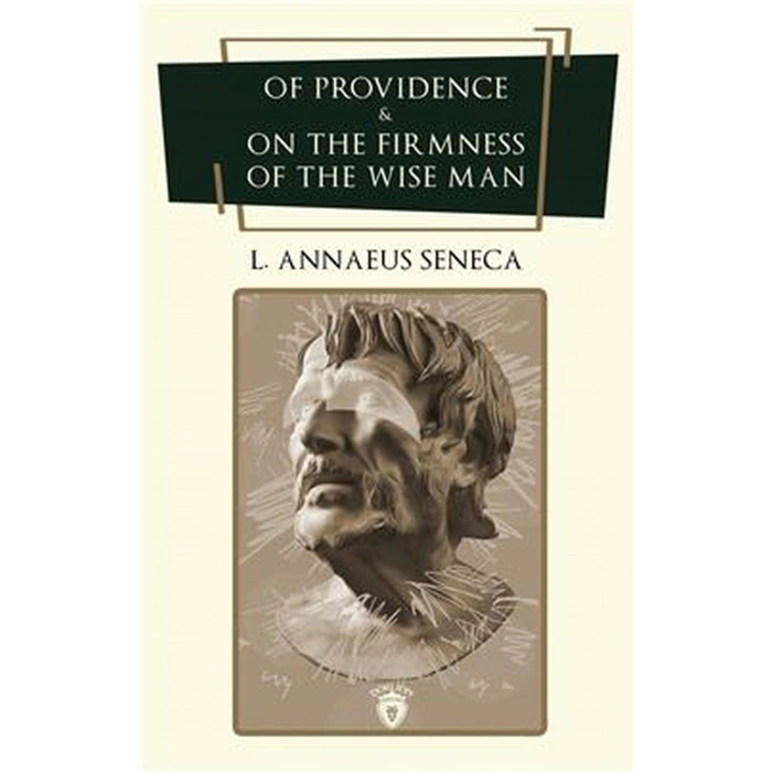 Providence ve Bilge Adamın Sertliği Üzerine - İngilizce Roman