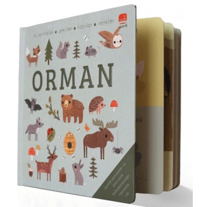 Say Bul Eğlen Orman