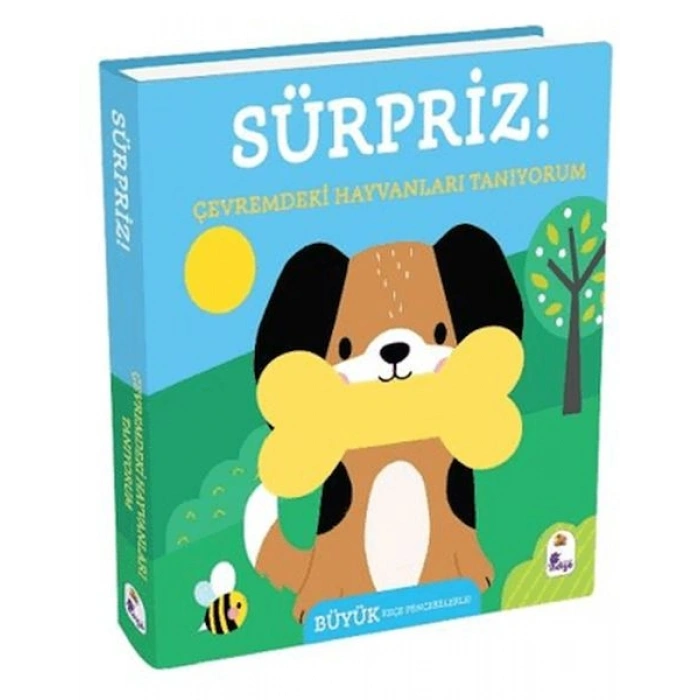 Sürpriz! - Çevremdeki Hayvanları Tanıyorum