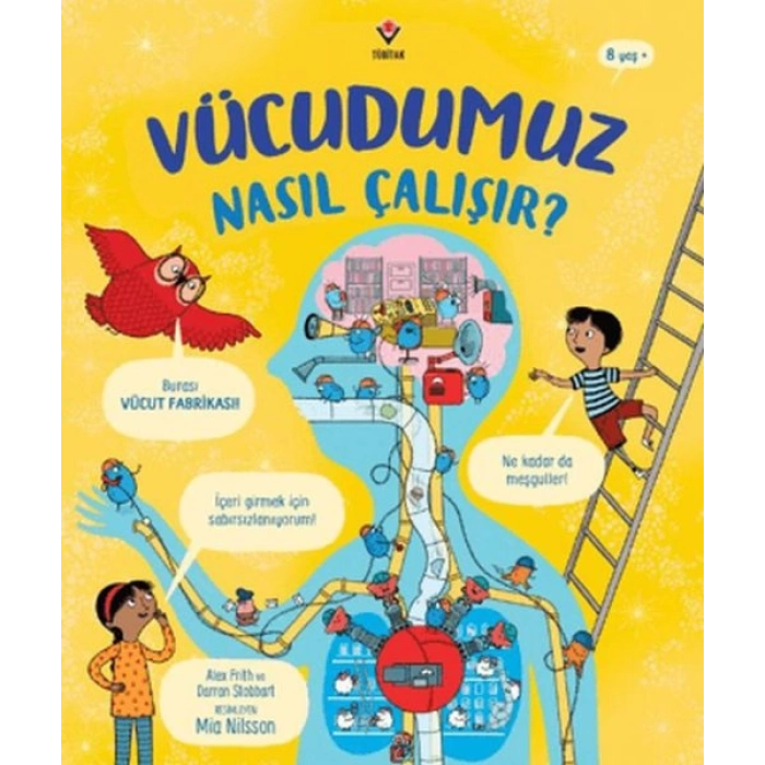 Vücudumuz Nasıl Çalışır?