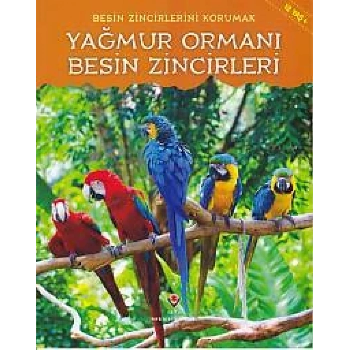 Yağmur Ormanı - Besin Zincirleri