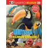 3D Şaşırtıcı Bilgiler - Muhteşem Yağmur Ormanı