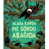 Acaba Karga Ne Gördü Aşağıda
